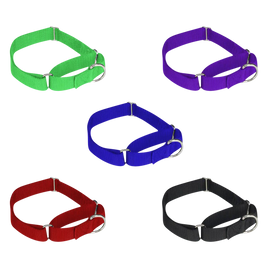 50 Medium Martingale Collars - MEDIUM - 5 Colors - Only $2.39 Each - Canis Gear
