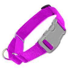 All Nylon Martingale METAL QR 10 Pack PURPLE - Canis Gear