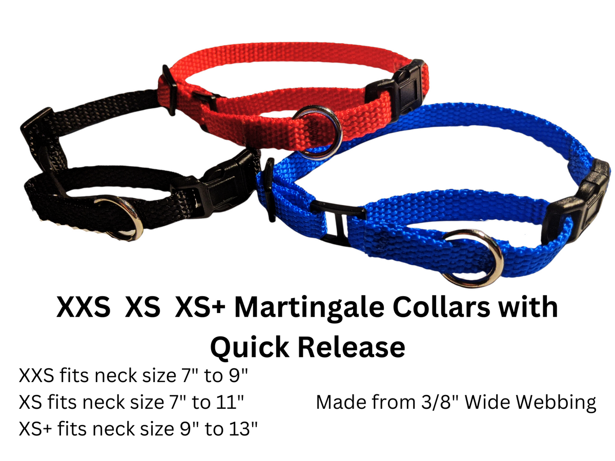 Quick release 2024 martingale collar