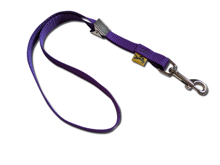 Alligator Loop Purple 12 Pack - Canis Gear