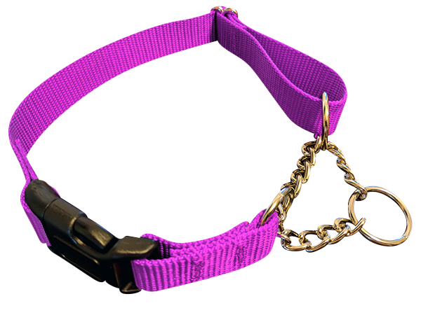 Martingale dog collars with chain loop store