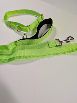Medium Martingale Collar + 6 Foot Leash SET Green