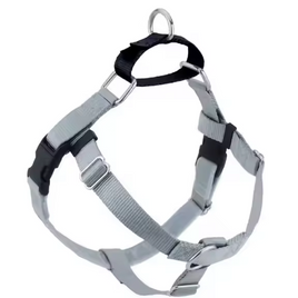 Martingale Harness 10 PACK - BLACK