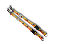 AlphaPro Dog Grooming Loop