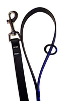 BioThane Coated Webbing Dog Leashes 2 PACK