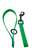 BioThane Coated Webbing Dog Leashes 2 PACK