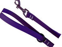 BioThane Coated Webbing Dog Leashes 2 PACK