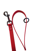 BioThane Coated Webbing Dog Leashes 2 PACK