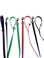 BioThane Coated Webbing Dog Leashes 2 PACK