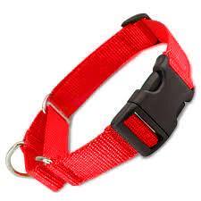 50 PACK BULK ALL Nylon Martingale Dog Collars w/ Plastic QUICK RELEASE  -  Solid Colors