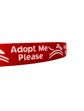 10 Pack Adopt Me Please 1" Large Martingale Collars