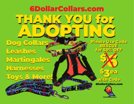 FREE Adopt Rescue 6DC Postcard - 100 PACK