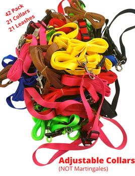42 PACK ADJUSTABLE Nylon Collars + Leashes - NOT MARTINGALES