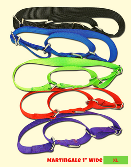 1" Wide Martingale Collar XL 10 Pack