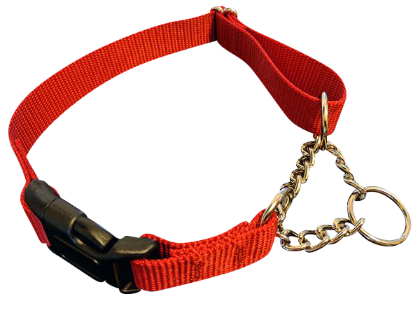 Dog collar best sale chain and nylon