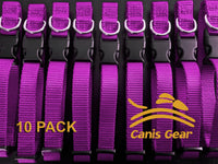 Value Line Nylon Dog Collars Small 10 Pack PURPLE- Canis Gear