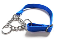 Half Chain Martingale Collars 10 Pack BLUE - Canis Gear