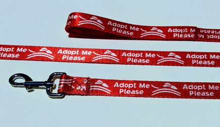 42 PACK Adopt Me Please Martingales + 6 Foot Leashes MEDIUM - Canis Gear