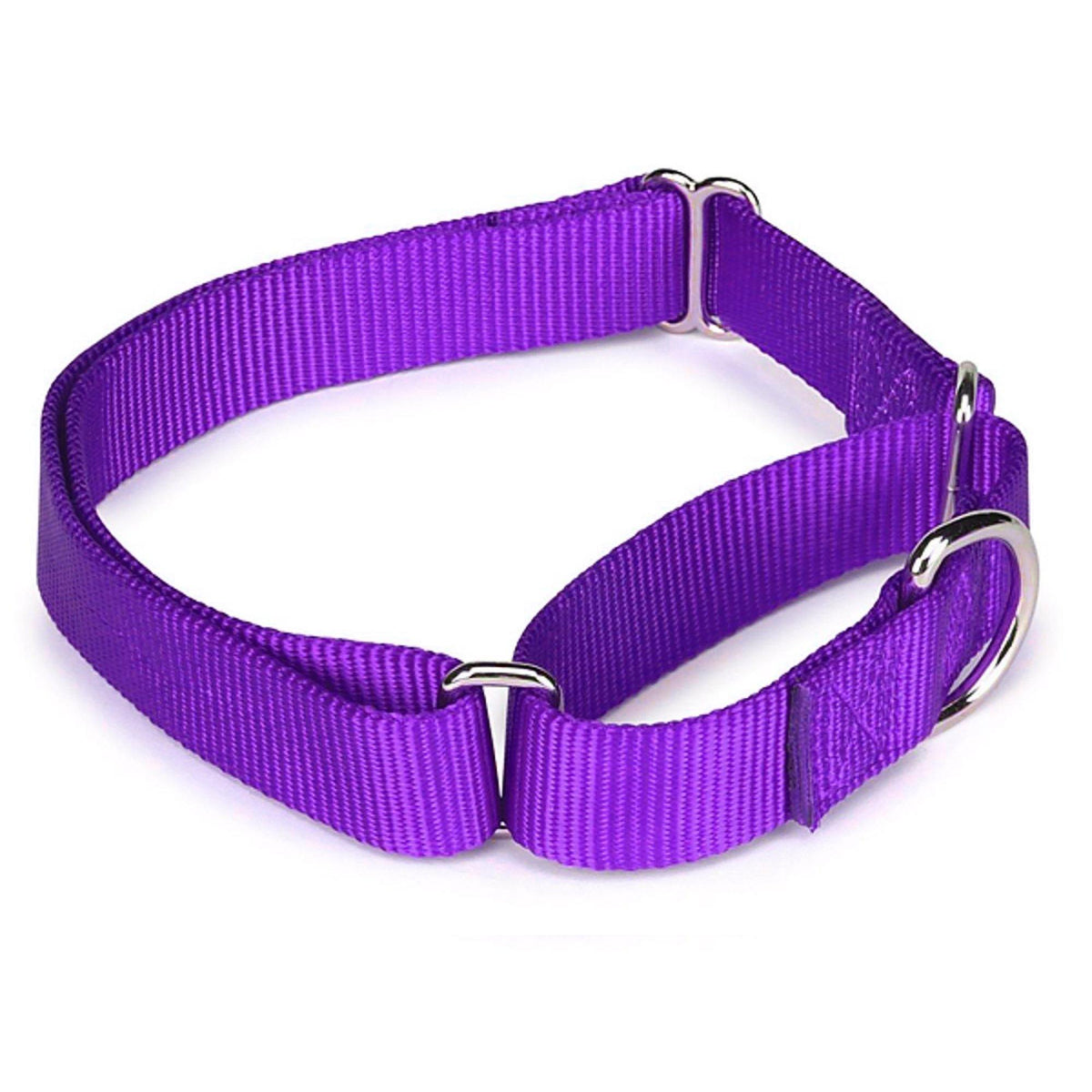 All Nylon Martingale SLIP OVER HEAD STYLE Dog Collars 10 PACK - Solid ...