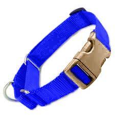 All Nylon Martingale METAL QR 10 Pack BLUE - Canis Gear