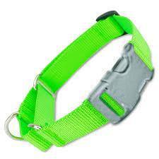 All Nylon Martingale METAL QR 10 Pack GREEN - Canis Gear