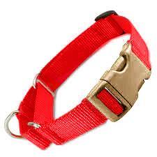 All Nylon Martingale METAL QR 10 Pack RED - Canis Gear
