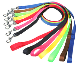 Nylon Leashes 4 Foot or 6 Foot 1" Wide 5 Colors- 20 PACK
